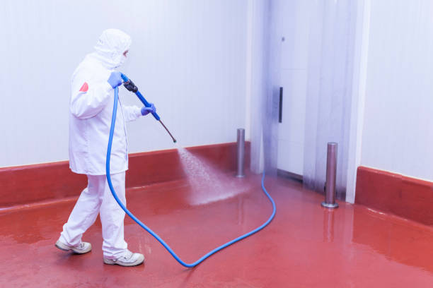 Best Paint Preparation  in Wharton, NJ